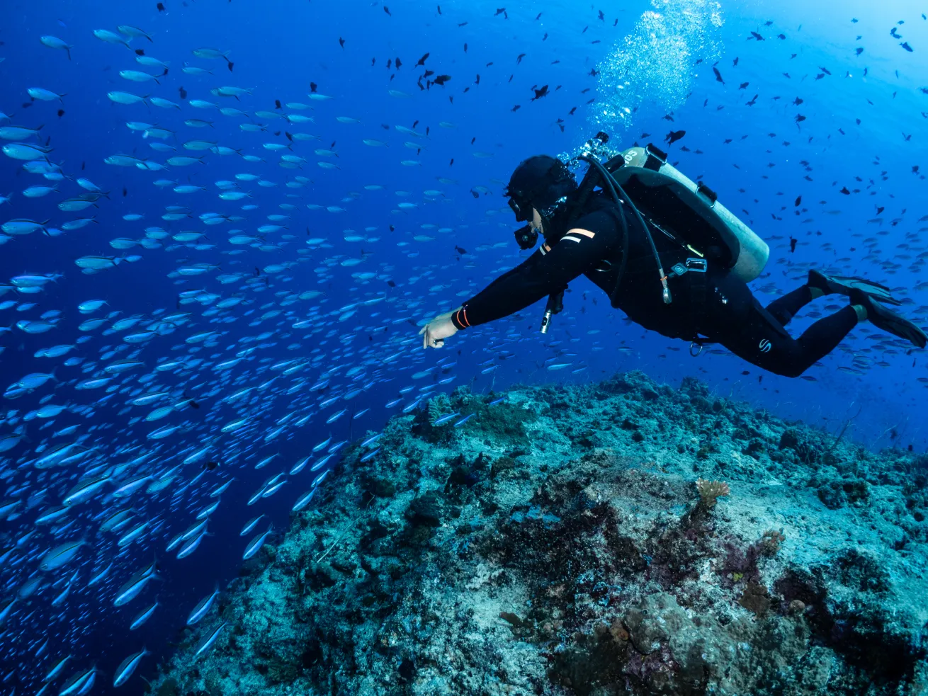 Scuba Diving